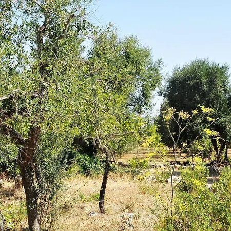 Trullo Selva By Interhome Holiday home Ceglie Messapica